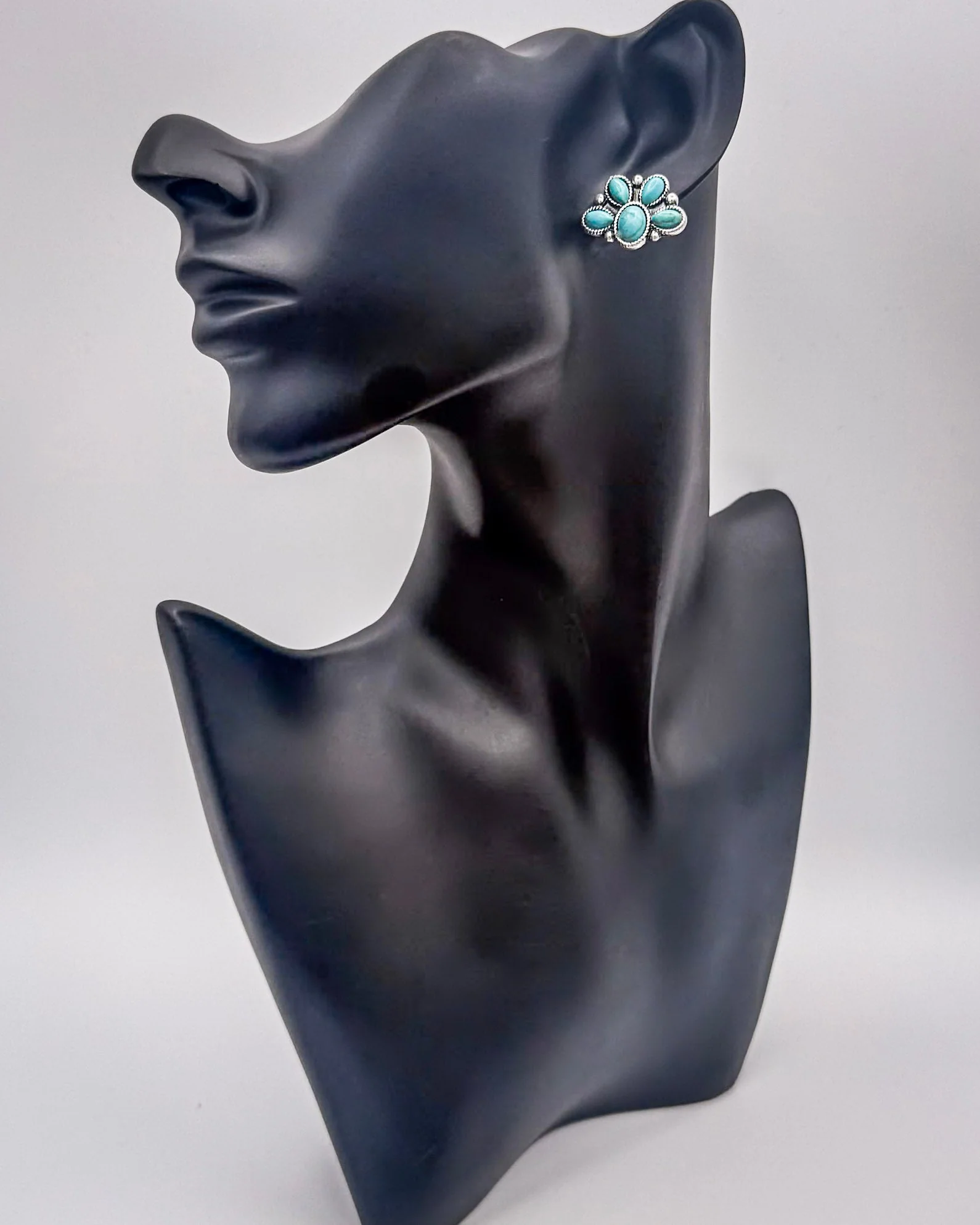 High Desert Dream Fashion Earring Set - Image 10