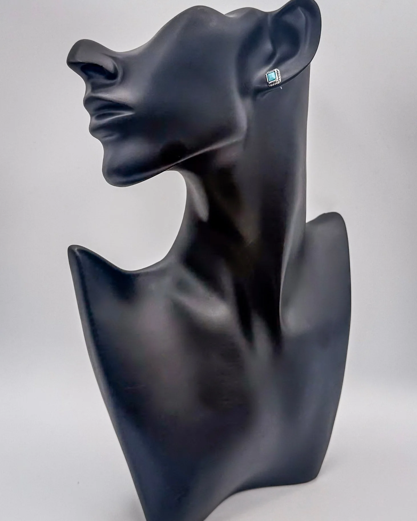 High Desert Dream Fashion Earring Set - Image 2