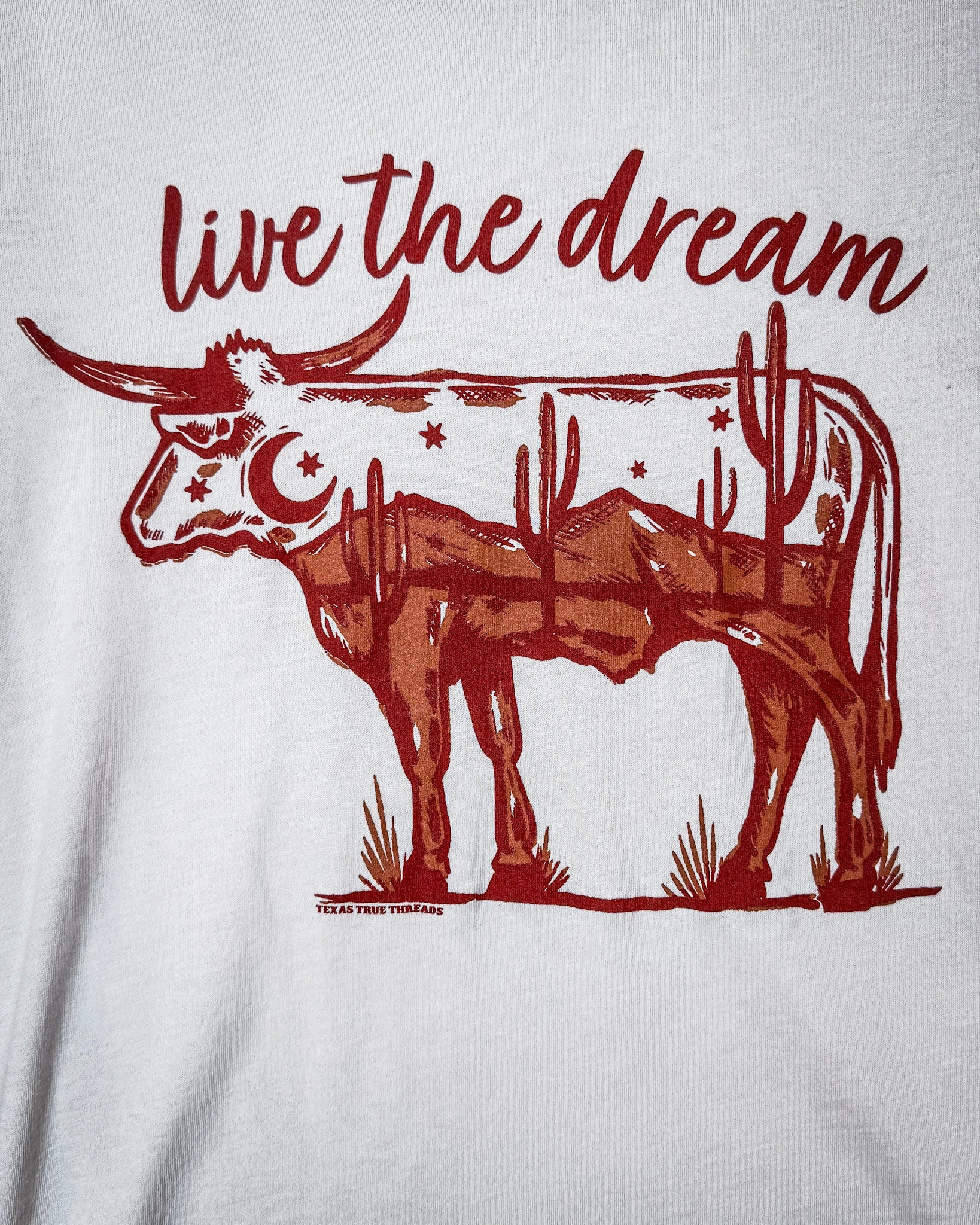 Live the Dream Boyfriend Tee in Natural - Image 5