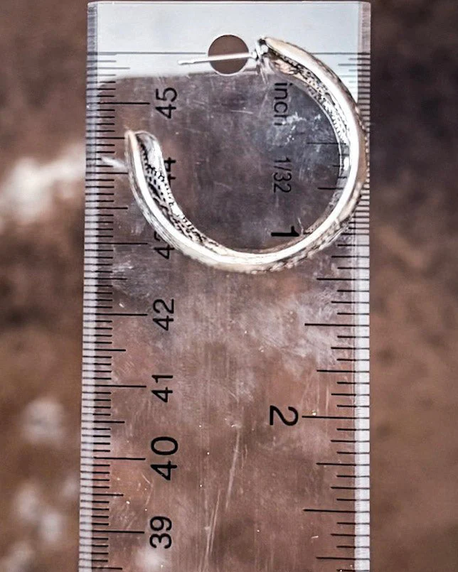 Wild Mesa Fashion Hoop Earrings - Image 5